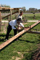 helfer beim S&auml;gen